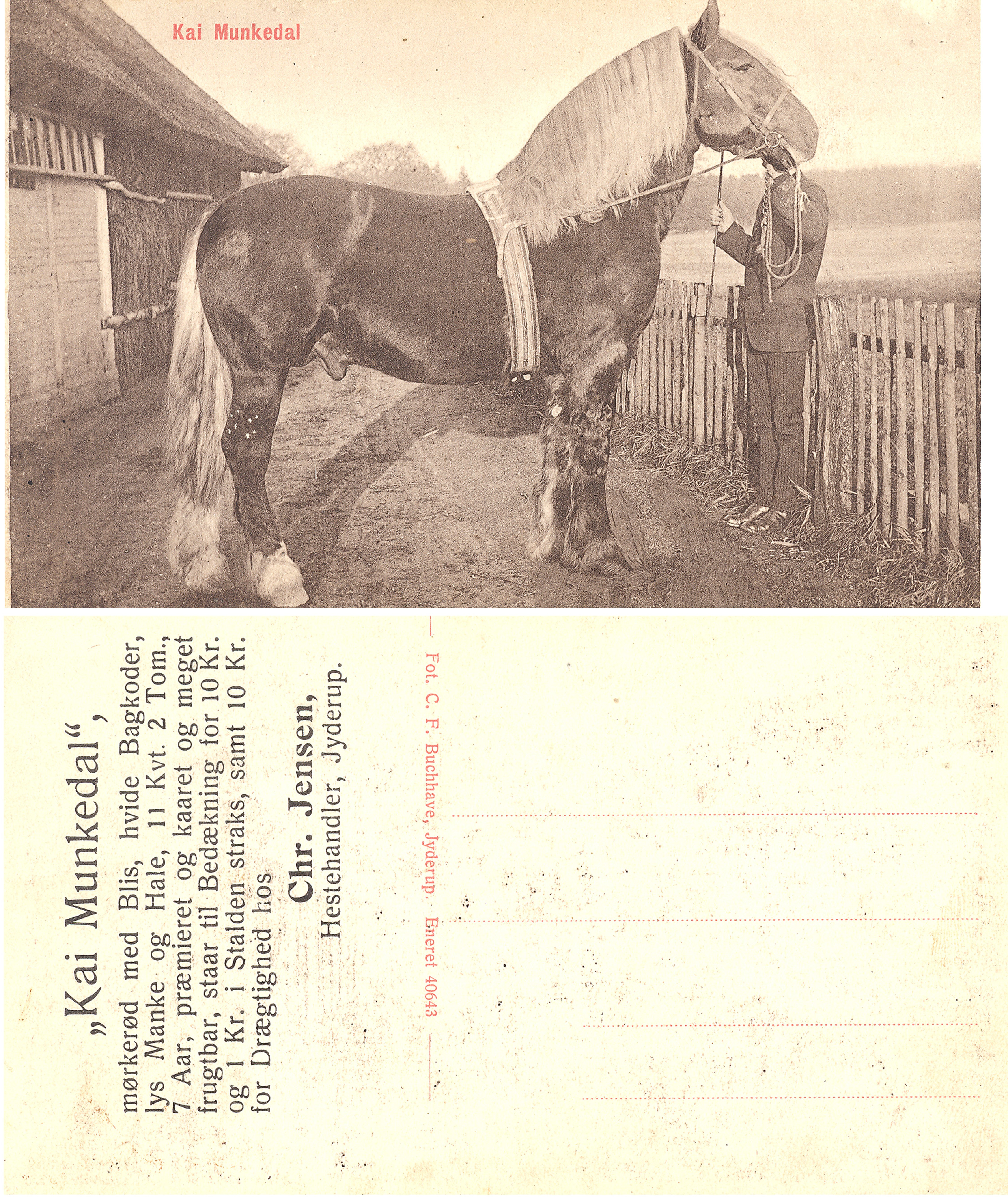 Hestehandler Hans Jensen, Ellebjerg